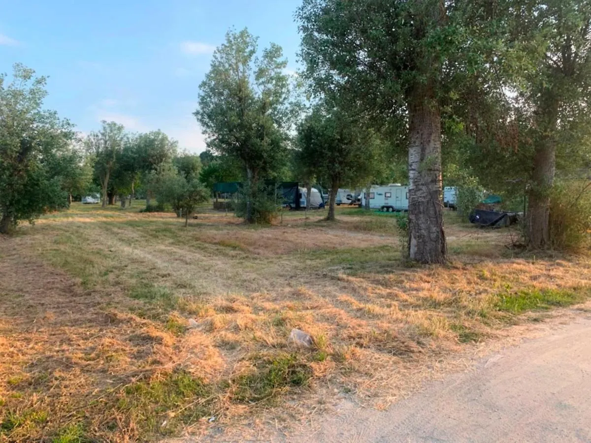 Οργανωμένο κάμπινγκ Paliouri Luxury Bungalows Ελλάδα