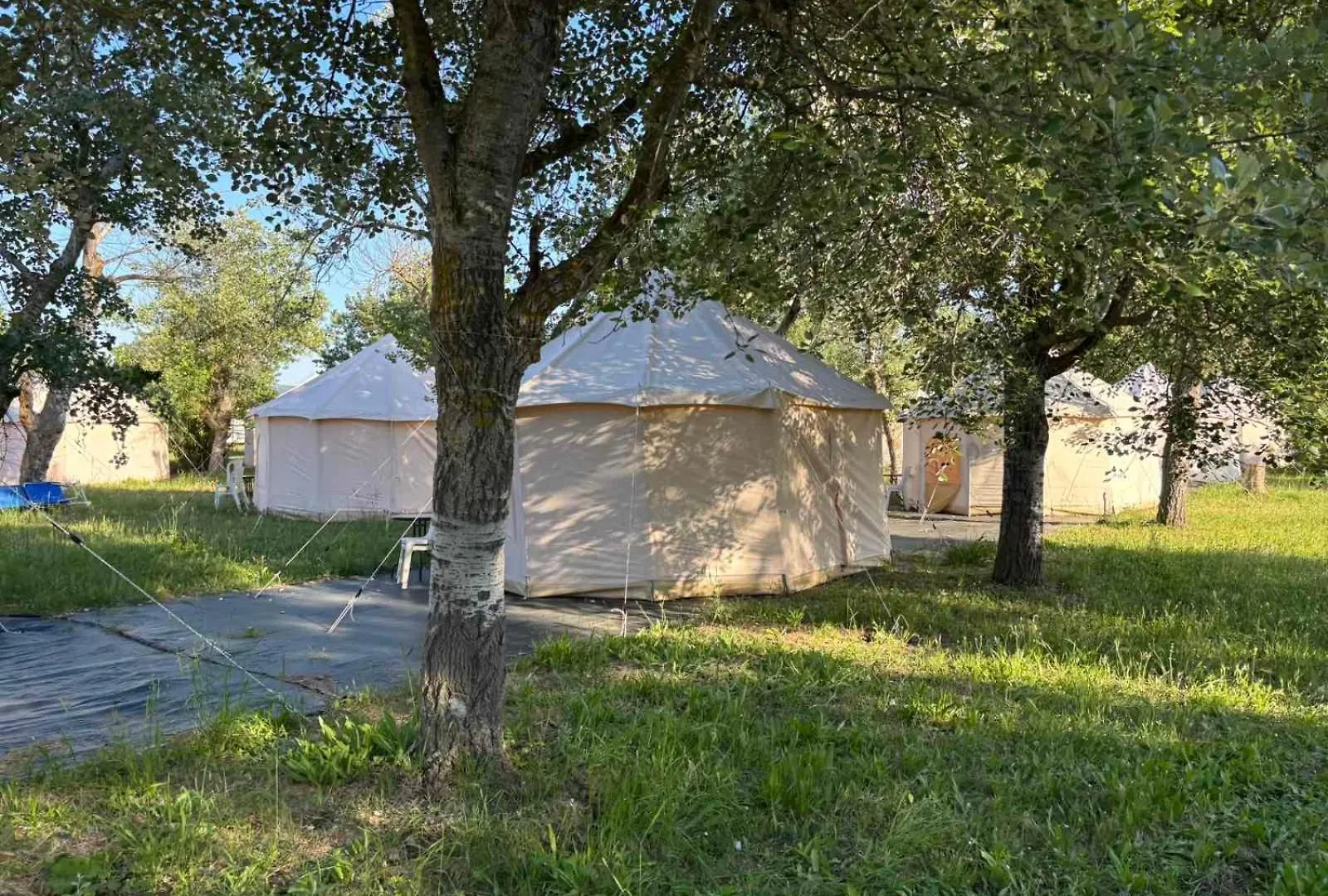 Οργανωμένο κάμπινγκ Paliouri Luxury Bungalows Ελλάδα