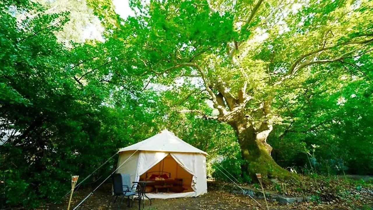 Paliouri Luxury Bungalows Luxury tent