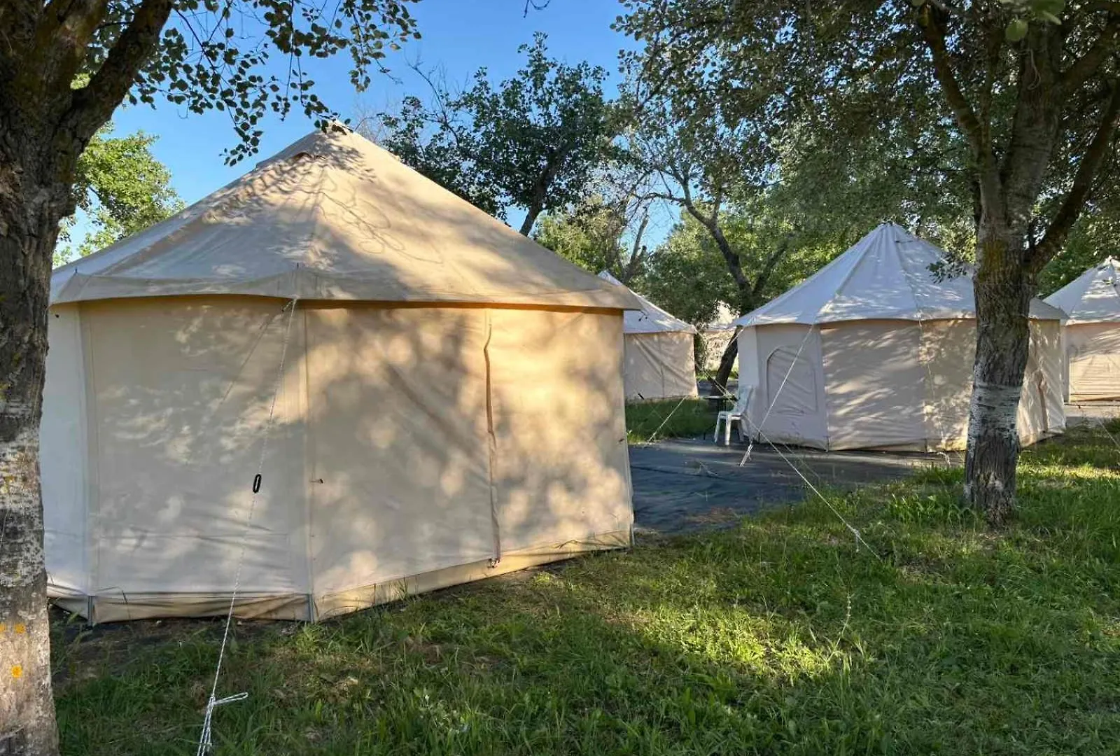 Paliouri Luxury Bungalows Luxury tent